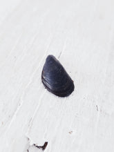 Load image into Gallery viewer, BESPOKE - Fistral Beach Cornish Mussel Shell Necklace in Sterling Silver